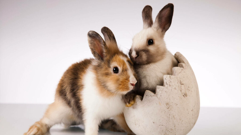 Charming Baby Bunnies in Egg Shell Wallpaper: Whimsical Delight