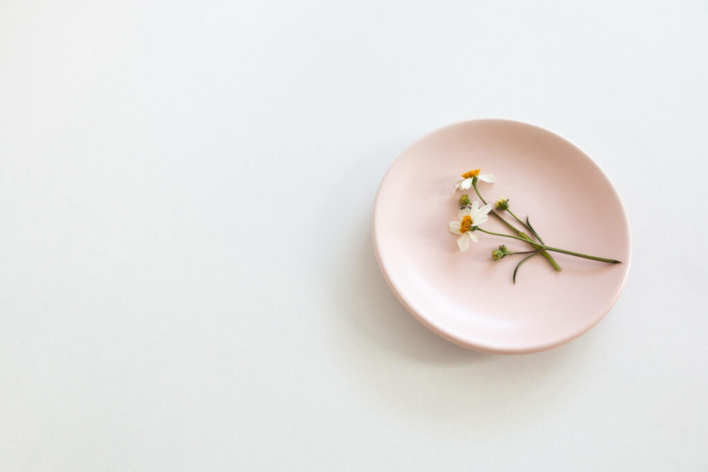 Pink Bliss: Captivating Chamomile Blooms on a Delightful Desktop Haven Wallpaper