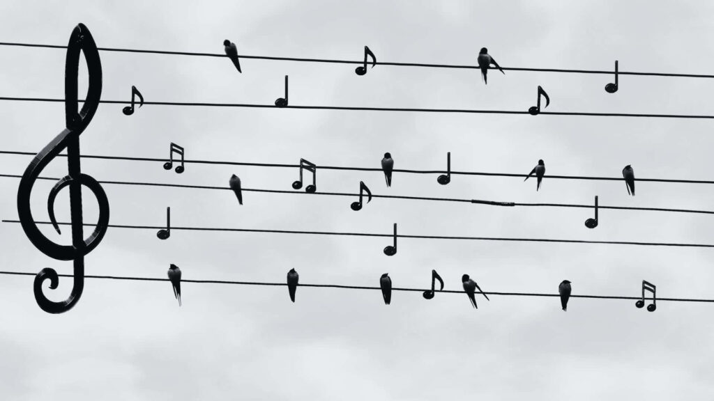 Artistic Birds on Power Lines: Whimsical Musical Wallpaper Background
