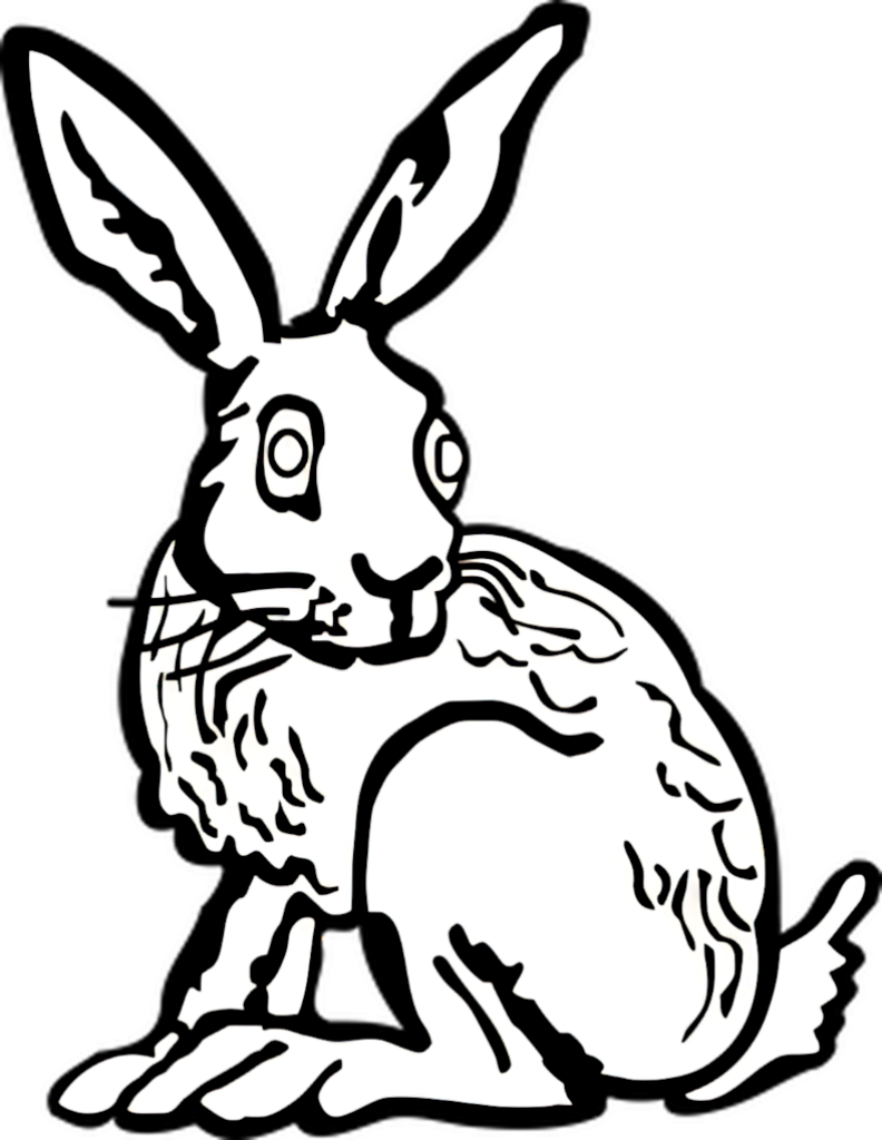 Whimsical Black and White Rabbit Illustration with Bold Lines Wallpaper