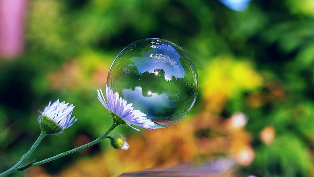 Whimsical Bubble on Vibrant Spring Flower - Lush Green Background Wallpaper