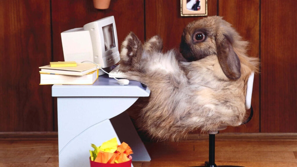 Charming Fluffy Bunny Desk Scene - Whimsical Wallpaper Design