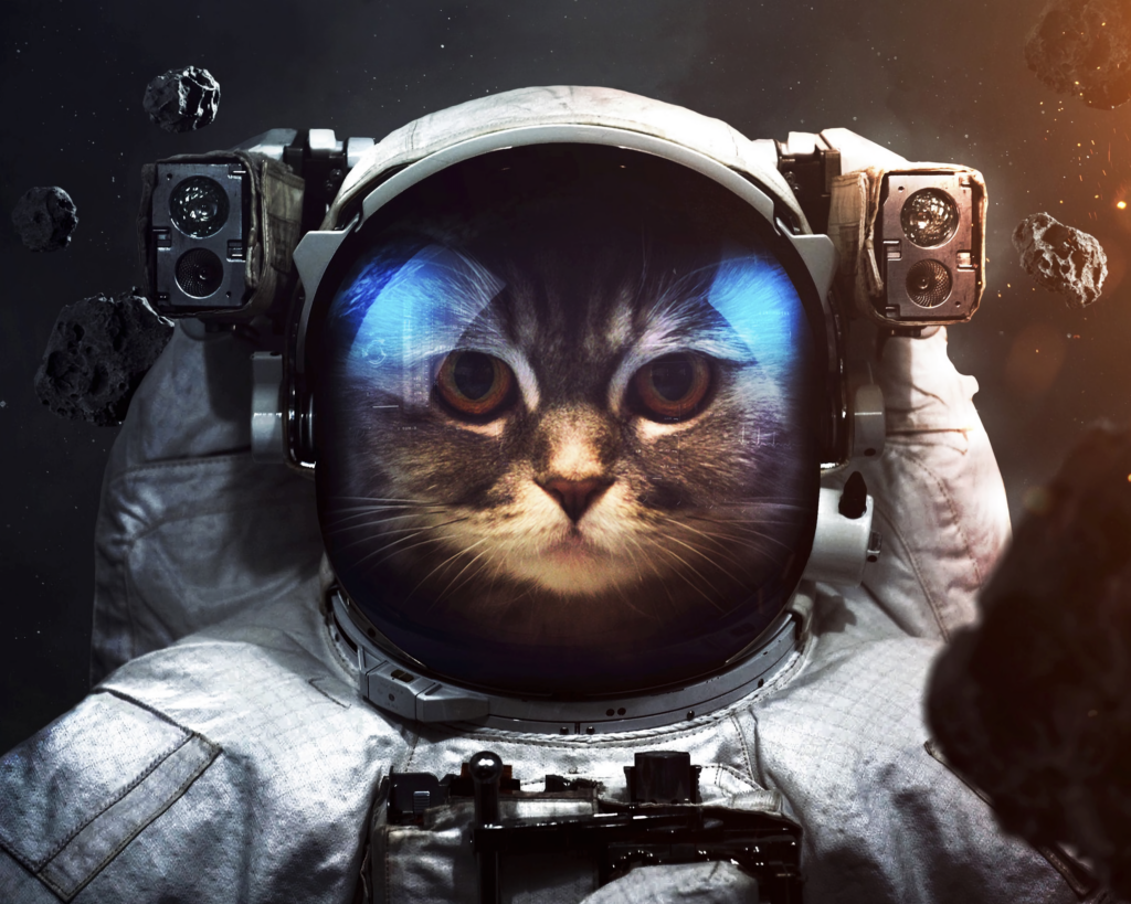 Whimsical Cat Cosmonaut Wallpaper in Space with Asteroids