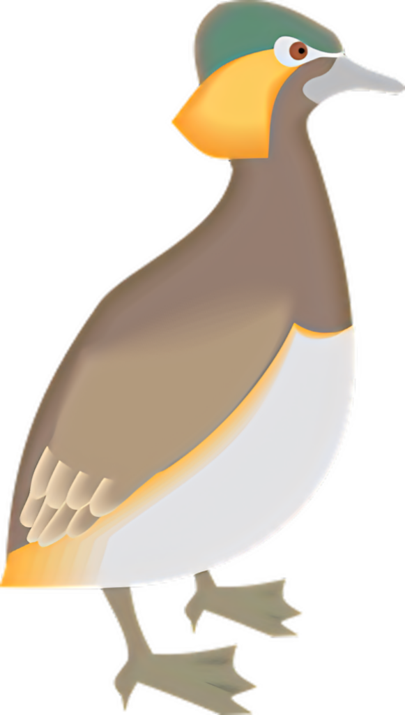 Vibrant Cartoon Bird Illustration for Fun Digital Backgrounds Wallpaper