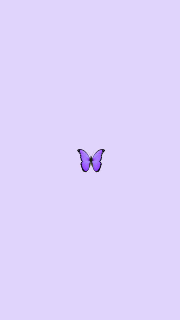 Purple Grace: Captivating Butterfly Phone Wallpaper with a Delicate Touch of Minimalism