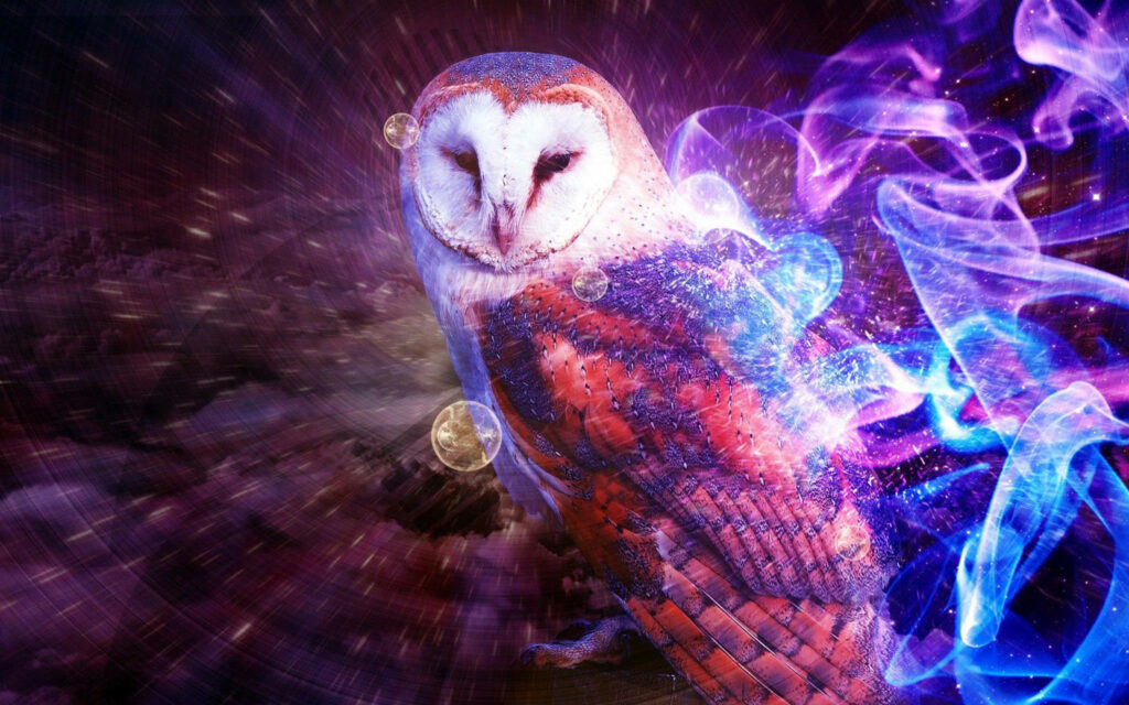 Enchanting Owl Wallpaper: Cosmic Galaxy Background Art