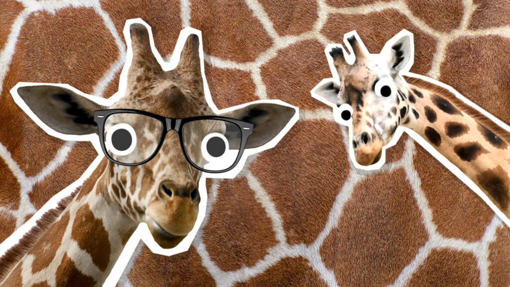 Whimsical Giraffe Wallpaper: Playful Design with Quirky Elements