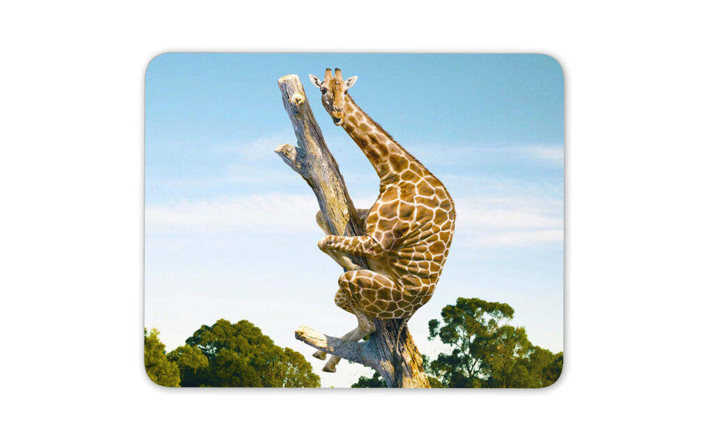 Whimsical Giraffe Wallpaper: Playful Scene with Blue Sky & Greenery
