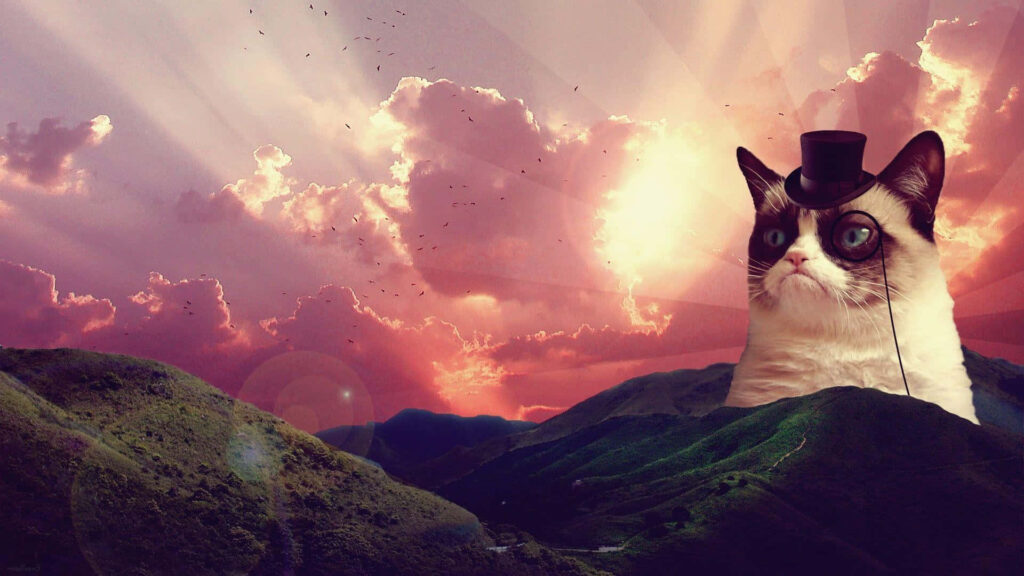Charming Grey Cat in Top Hat Against Colorful Sunset Wallpaper