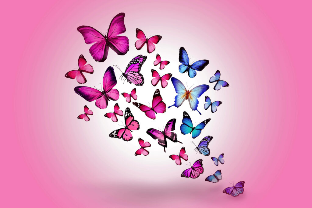 Whimsical Flight: Captivating Pink Butterflies Flutter Against a Creamy Pink and White Gradient Backdrop Wallpaper