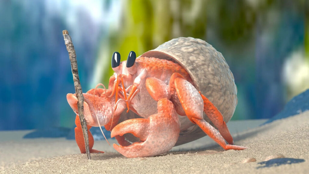 Charming hermit crab with textured shell and orange claws holding stick on sandy beach Wallpaper