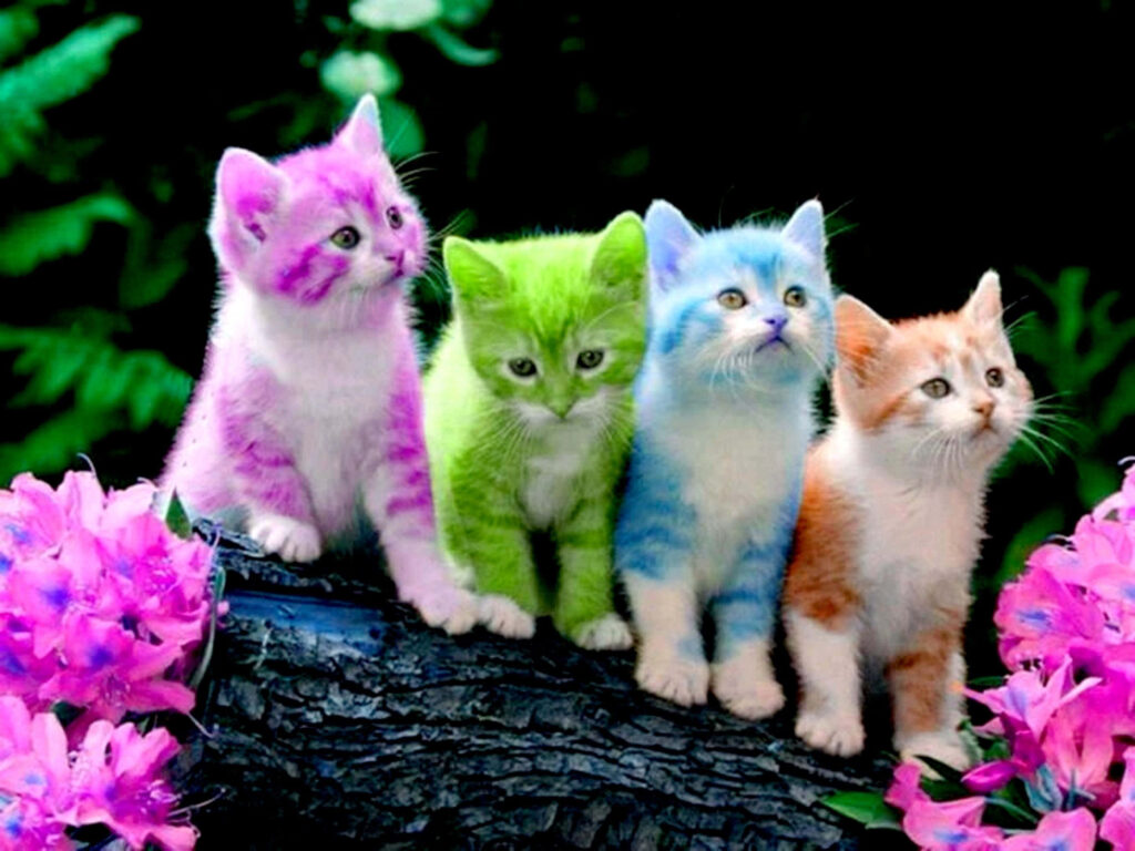Vibrant Pastel Kittens on Log Surrounded by Purple Flowers Wallpaper