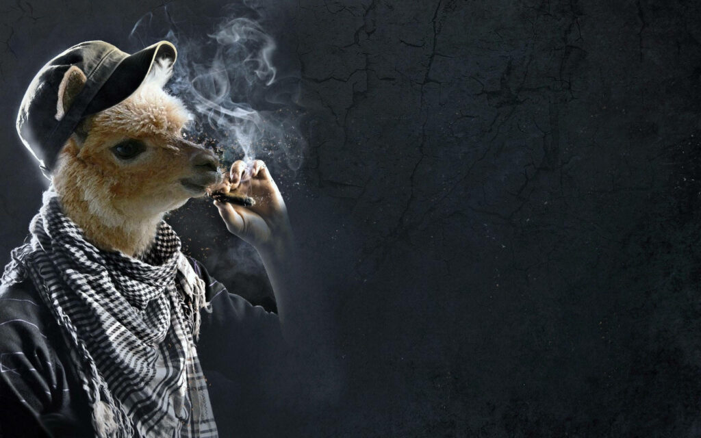 Whimsical Llama Wallpaper: Cap, Scarf & Smoky Surreal Fun