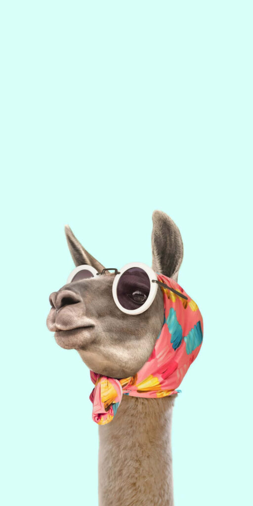 Whimsical Llama Wallpaper with Sunglasses and Colorful Scarf