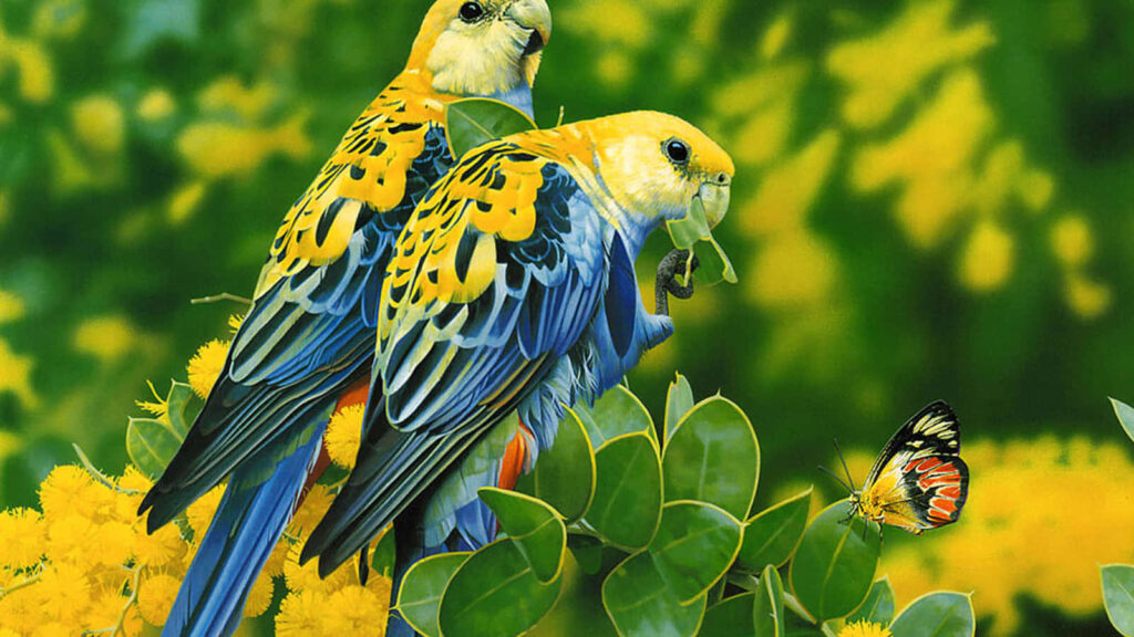 Colorful Lovebirds & Butterflies: Vibrant Floral Wallpaper Background
