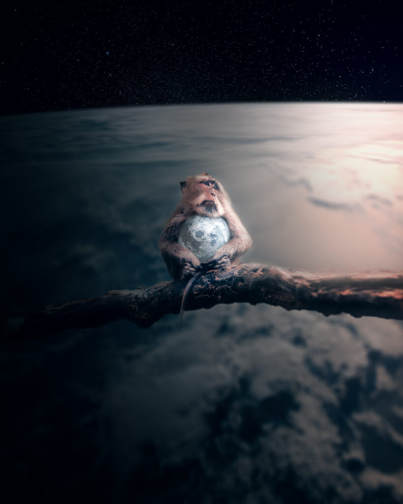 Whimsical Space Monkey Wallpaper: Surreal Branch Scene with Planet