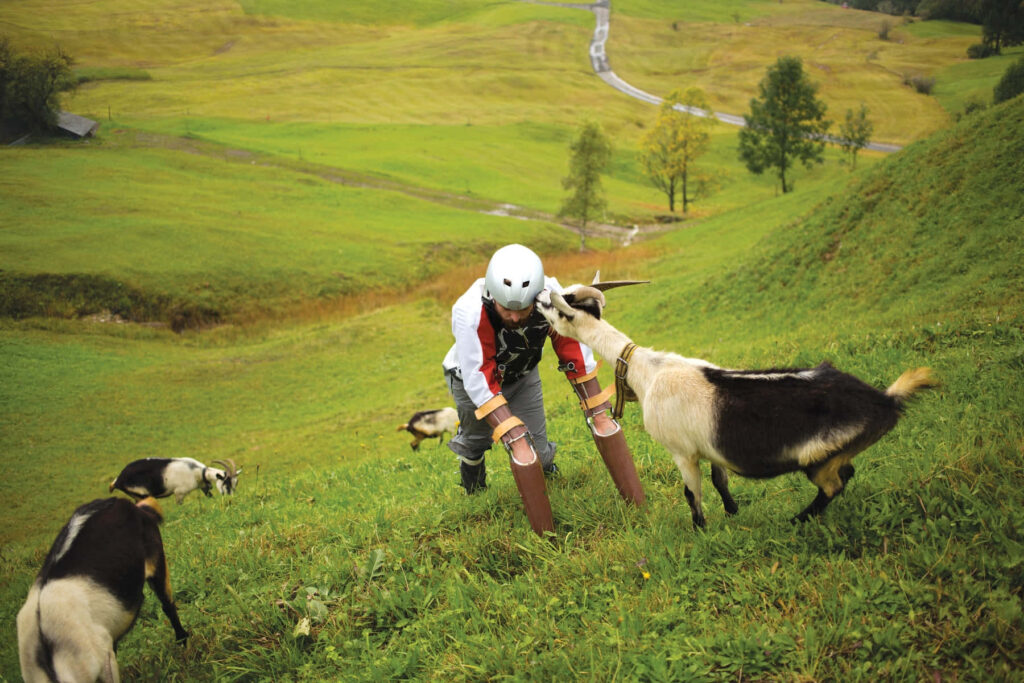 Playful Unique Dresser and Goat on a Joyful Grassy Hillside Wallpaper