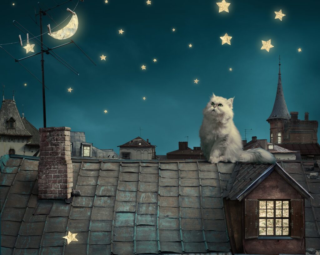 Whimsical Persian Cat on Rooftop: Starry Fantasy Wallpaper