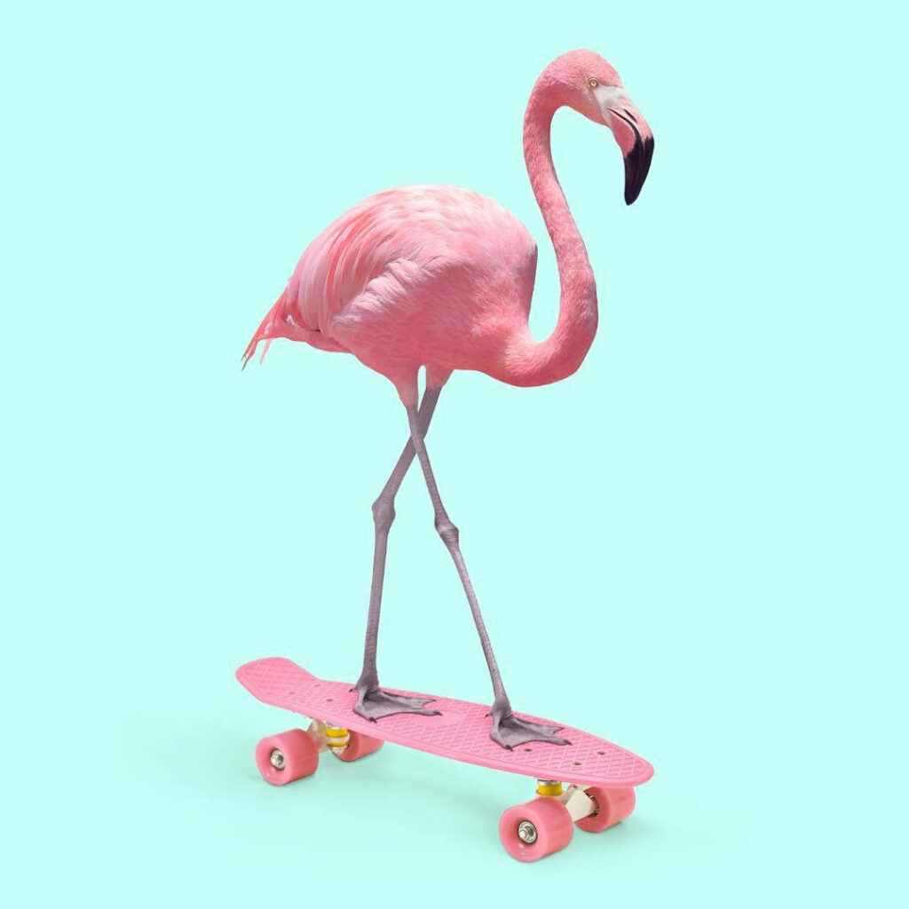 Playful Flamingo Wallpaper: Pink Skateboard & Bright Blue Background