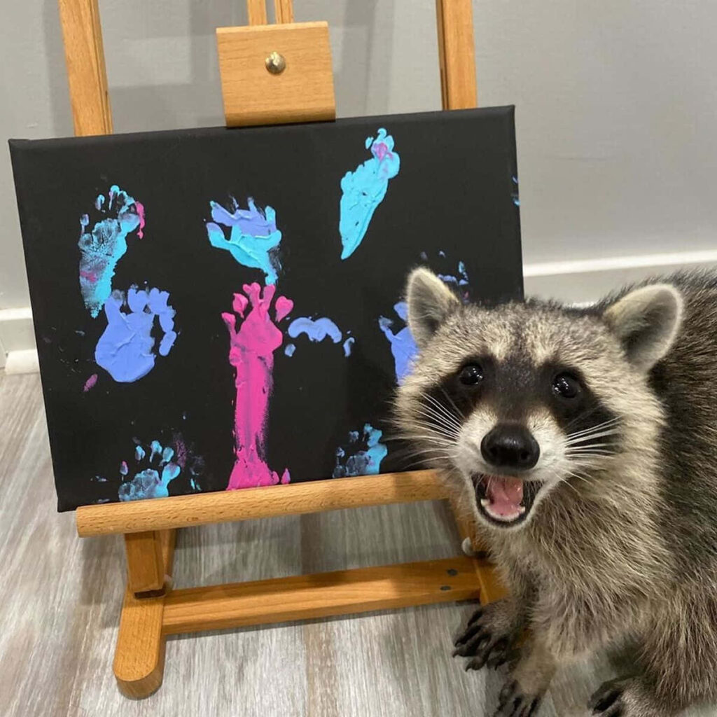 Whimsical Wallpaper: Cute Raccoon & Colorful Paw Print Art