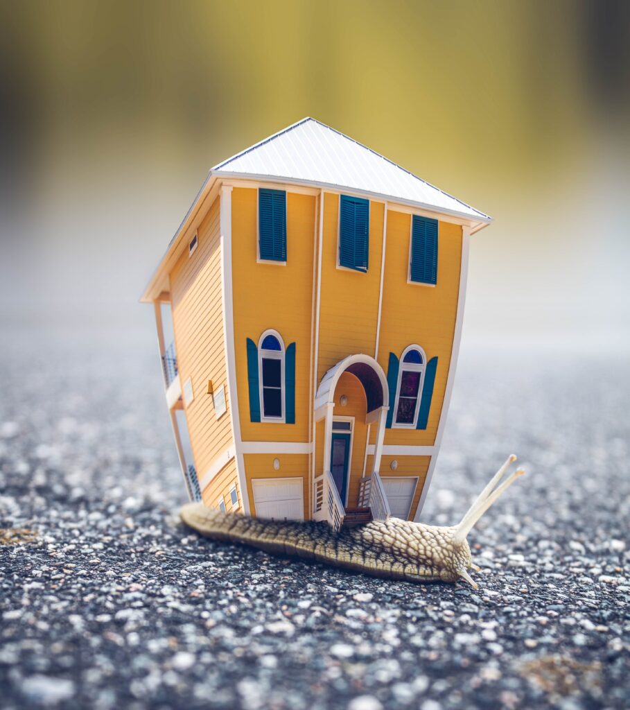 Whimsical Snail with Miniature Yellow House - Unique Wallpaper Art