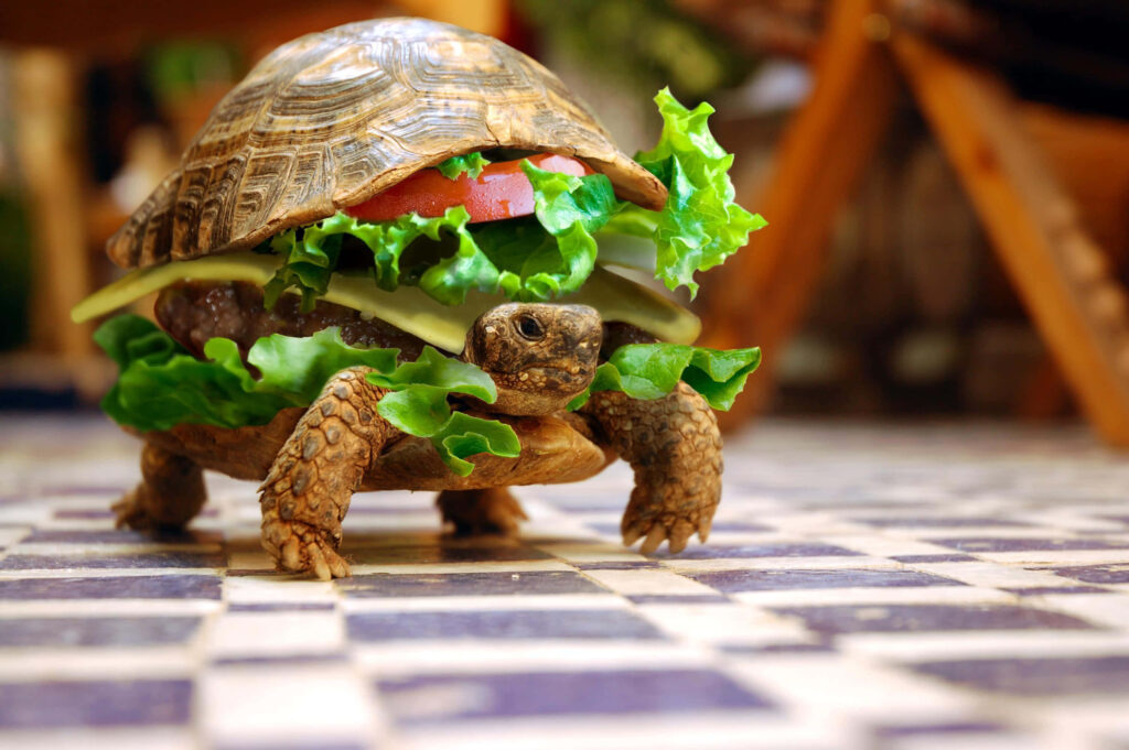 Whimsical Tortoise Burger Wallpaper: Fun Slow Food Design