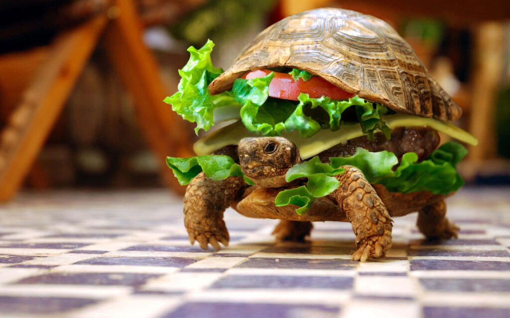 Whimsical Tortoise Burger Wallpaper: Nature Meets Culinary Art