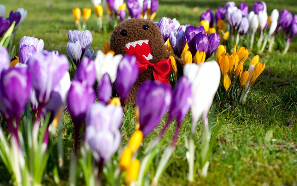 Playful toy with red bow in vibrant spring field of purple yellow white flowers on green grass Wallpaper
