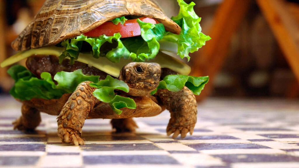 Whimsical Turtle Burger Wallpaper: Cute & Humorous Background Design