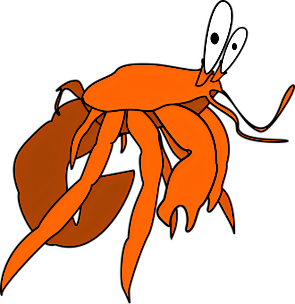 Whimsical Cartoon Orange Hermit Crab Vector Wallpaper Background