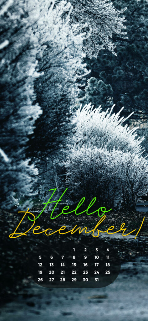 White Christmas wallpaper December 2021 frosted trees deep green winter forest holiday calendar