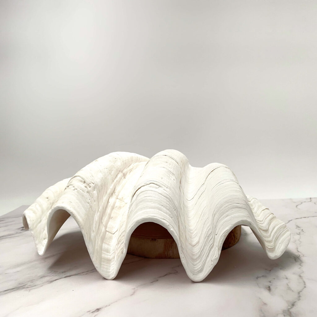 White clam shell on smooth marble surface with organic curves minimalist coastal wallpaper background
