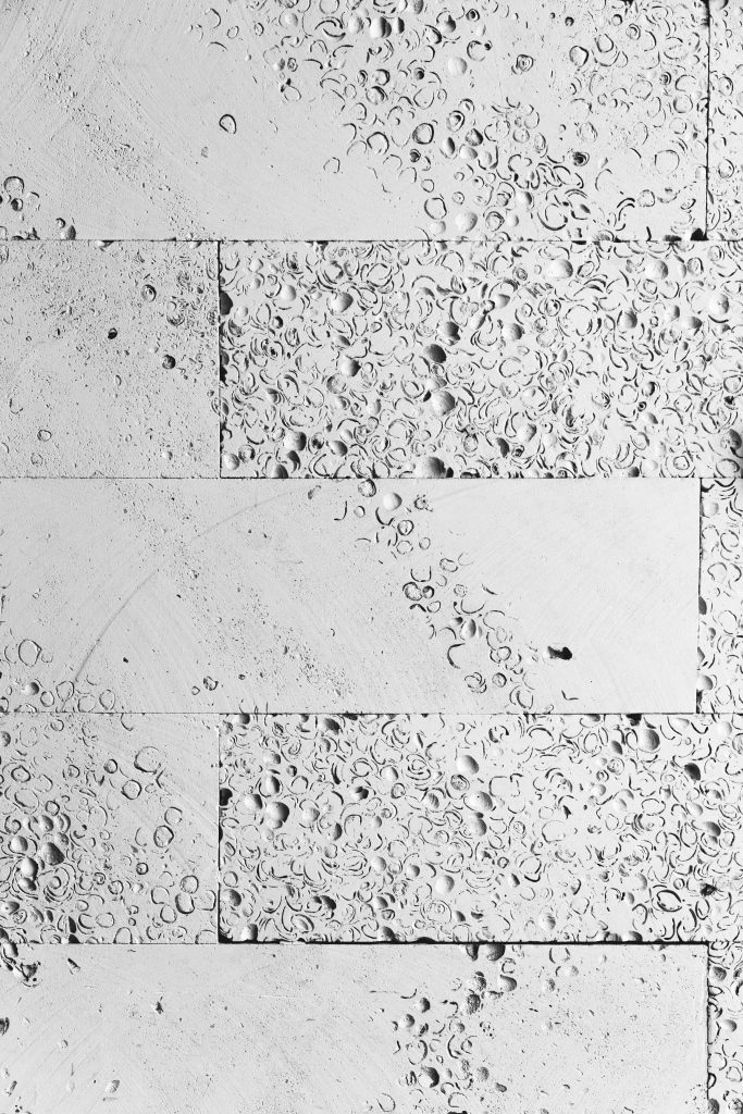 White tiled concrete wallpaper with fossil shell textures and high contrast natural lighting