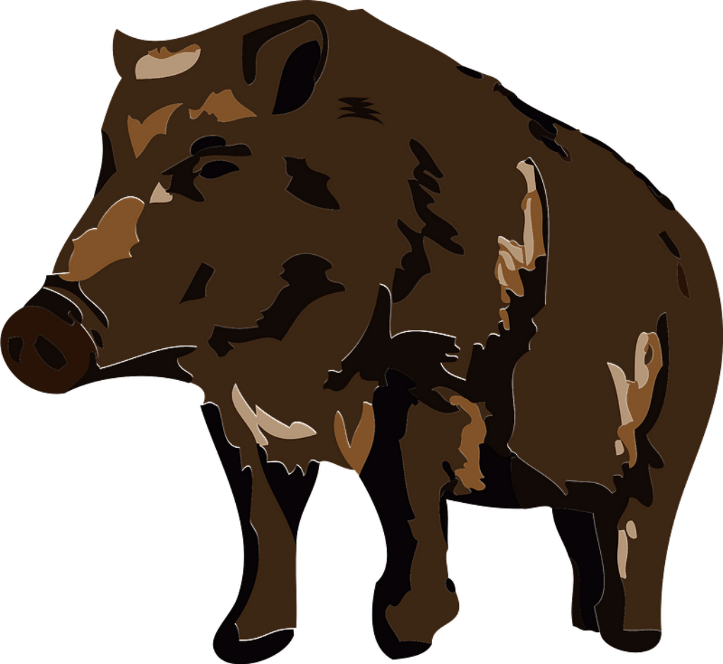 Wild Boar Illustration: Earthy Tones & Striking Strength Wallpaper