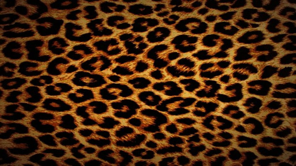 Exquisite QHD Leopard Skin Wallpaper: A Mesmerizing High Resolution Background