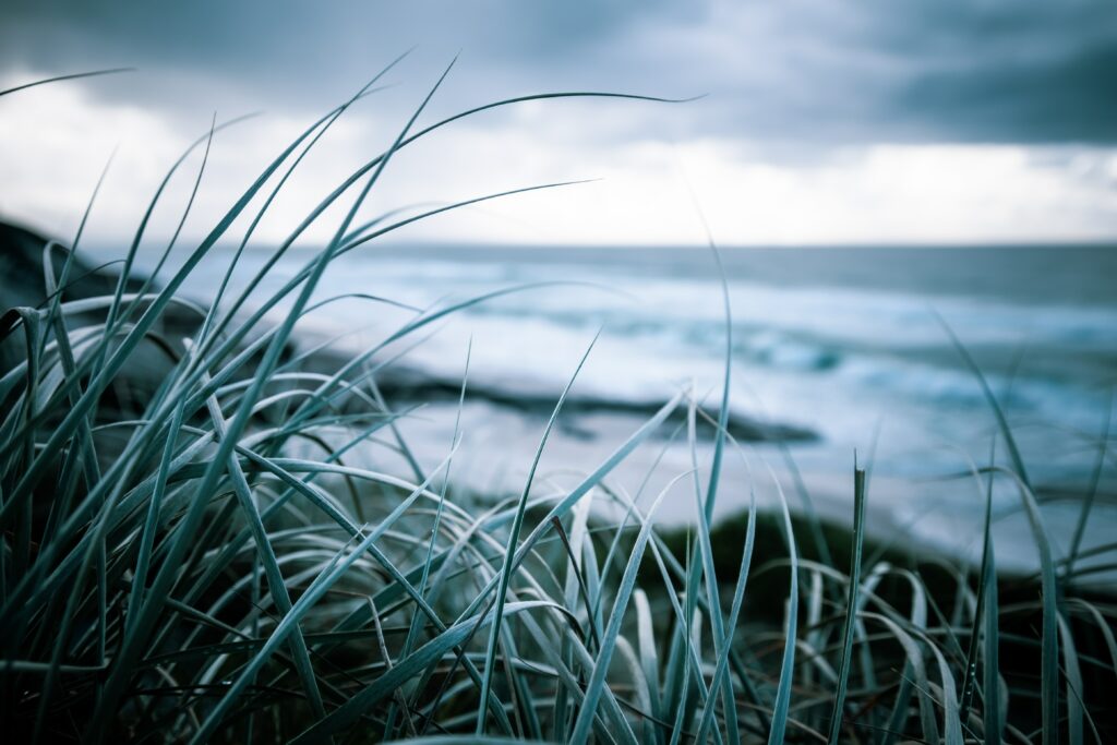 Wild grass swaying on rugged coast with vibrant green vegetation and moody blue sea background Wallpaper