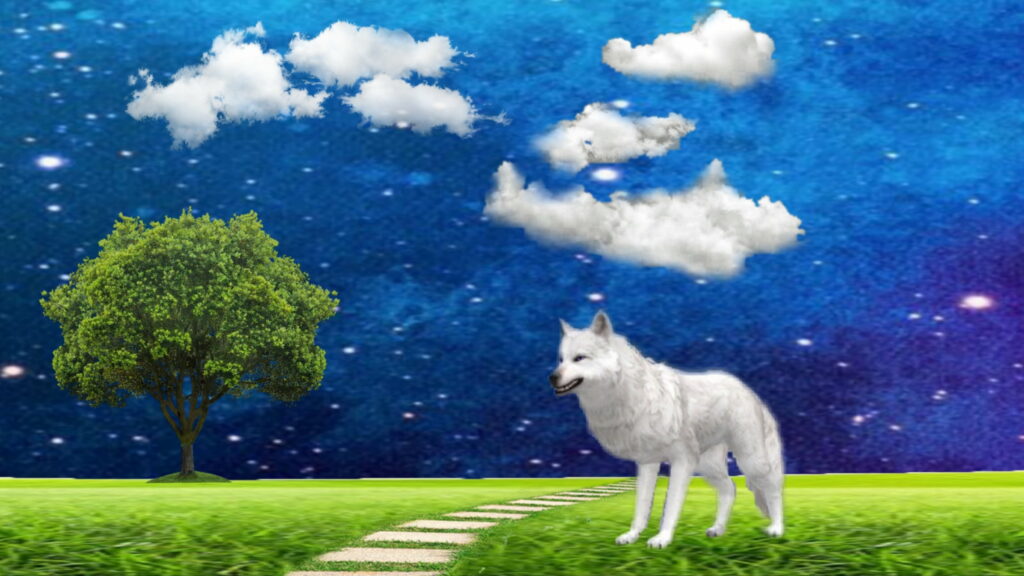 Wild Wolf Roaming Under Majestic Clouds: An HD Wallpaper Edited with PicsArt and Wildcraft