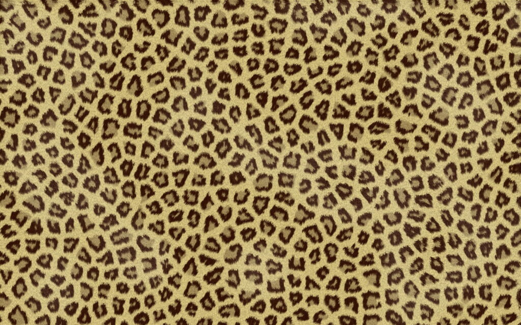 Intricate Patterns of the Wild: HD Wallpaper featuring Exquisite Leopard Skin Print