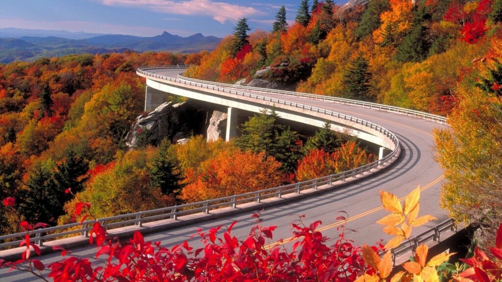 Winding asphalt bridge curves above vibrant autumn forest with red orange and yellow foliage Wallpaper