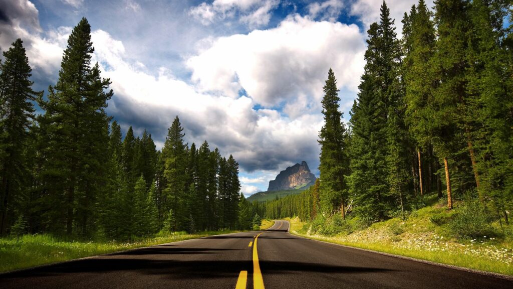 Winding asphalt road with yellow lines through lush tall fir trees under dramatic sky wallpaper