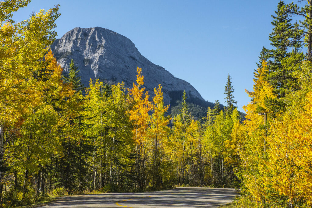 Winding road through colorful autumn forest with golden trees and mountain under clear blue sky Wallpaper