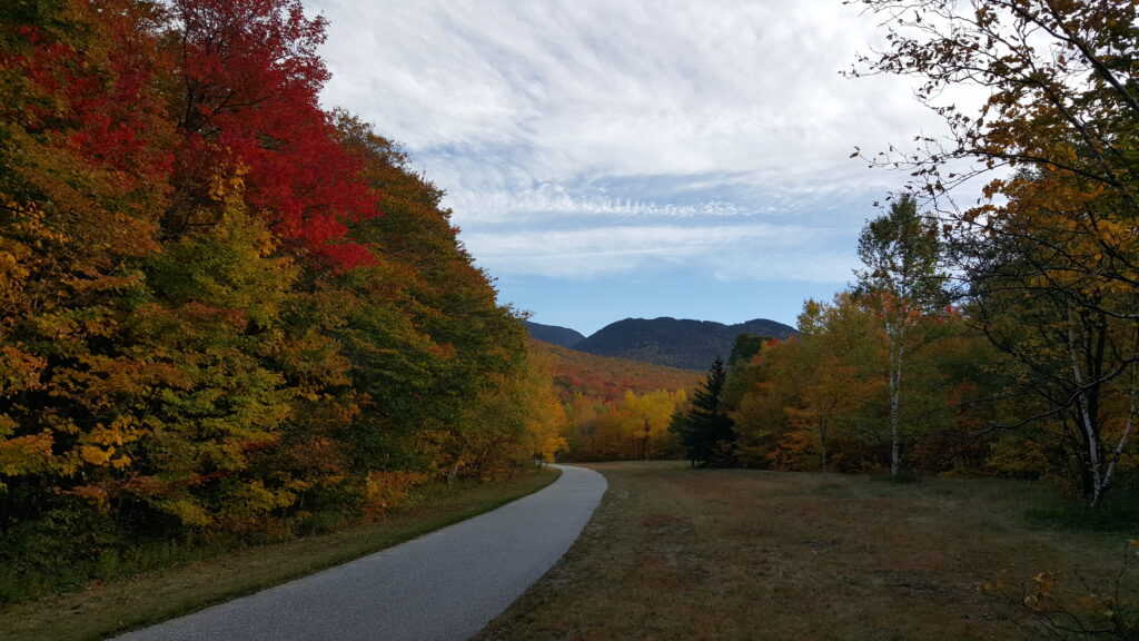 Winding road through vibrant autumn trees with red orange yellow leaves and distant mountains Wallpaper