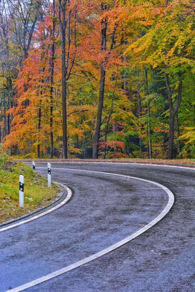 Winding road through vibrant autumn forest with orange yellow and green leaves under overcast sky Wallpaper