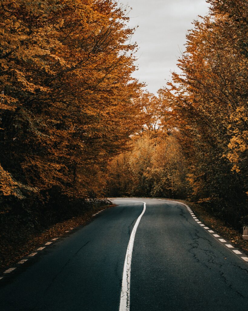 Winding asphalt road through vibrant orange and gold autumn trees under cloudy sky wallpaper