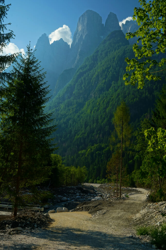 Winding forest path leading to misty mountains under clear blue sky vibrant green trees wallpaper