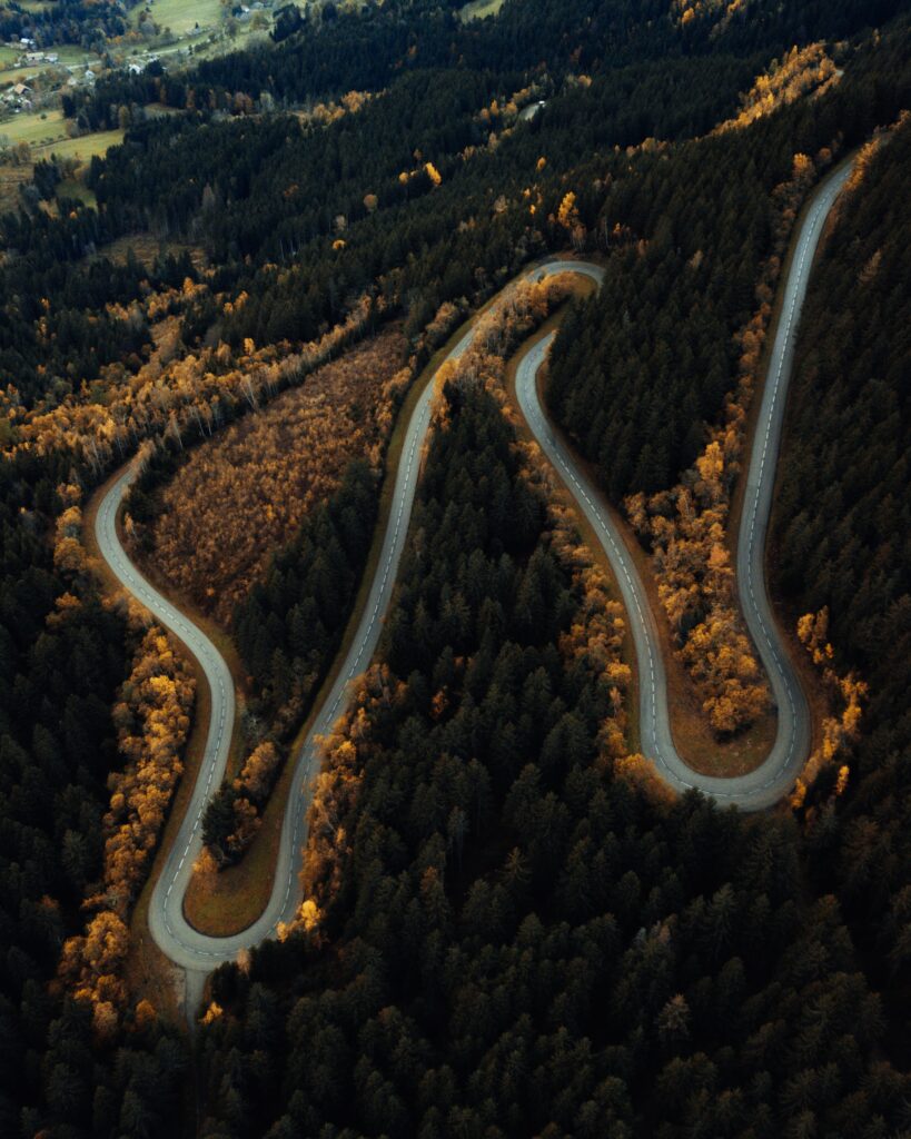 Aerial view of winding road through lush forest with autumn trees in green and golden hues Wallpaper