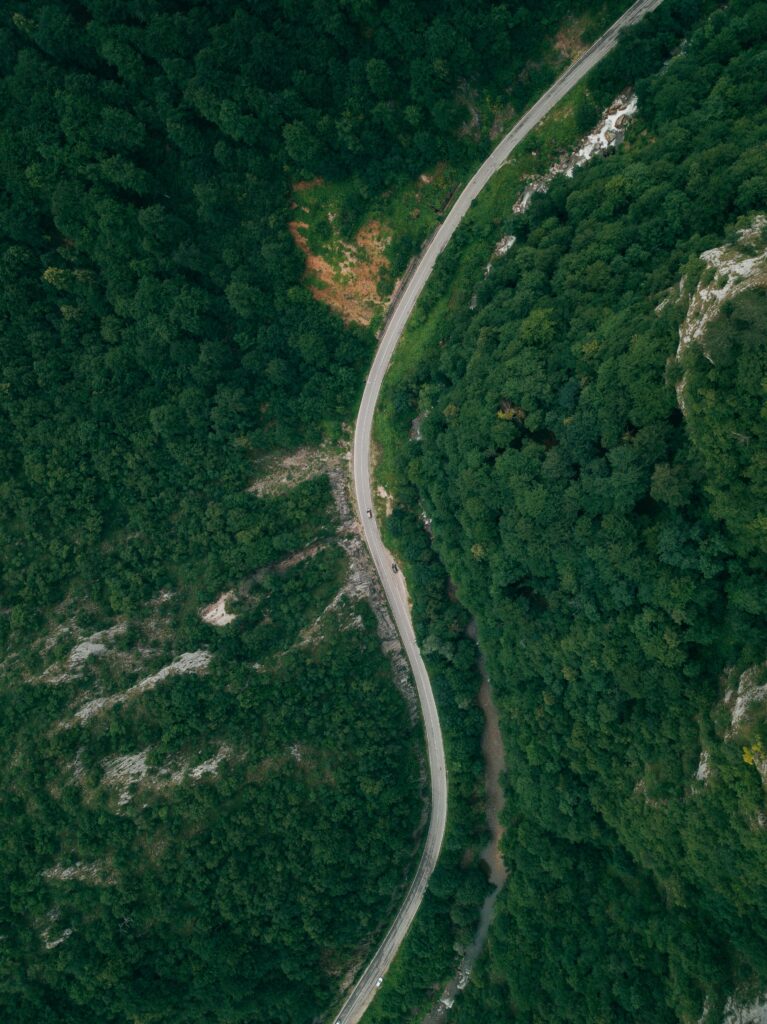 Top view of winding road through dense lush green forest nature wallpaper background