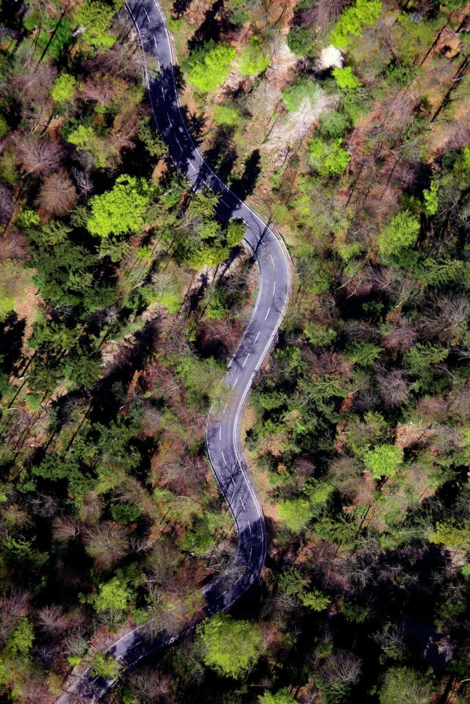 Aerial view of winding road through dense green and brown forest scenic nature wallpaper background