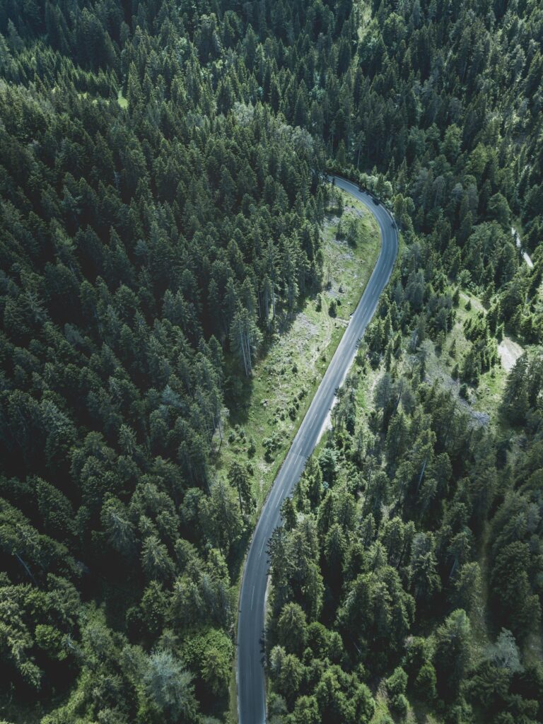 Aerial view of winding road through dense green forest showcasing peaceful natural beauty road trip Wallpaper