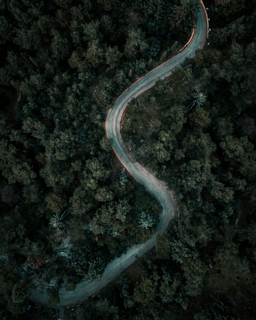 Aerial view of winding forest road through lush green canopy showcasing serene natural beauty Wallpaper
